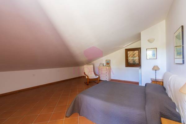 Foto10: 