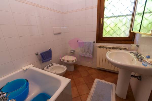 Foto15: 