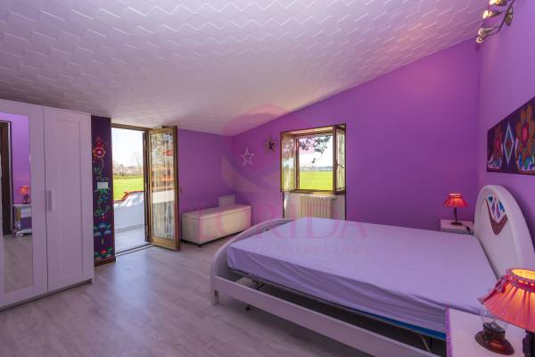 Foto13: 