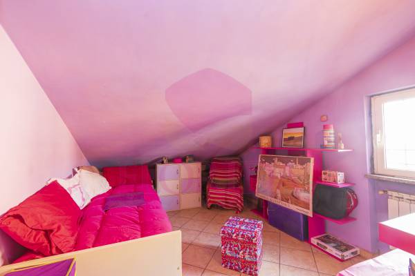 Foto11: 