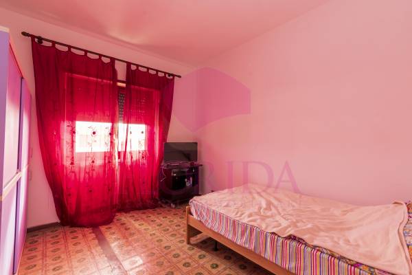Foto11: 